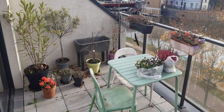 Woning te huur in Gent voor € 1.050 met 2 slaapkamers - Foto 3