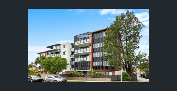 Modem Designer Apartment in Burwood with courtyard - Photo 1