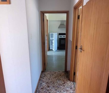 Hey hey its Albert! - Photo 5