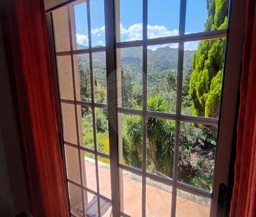 Moradia T4 - Photo 6