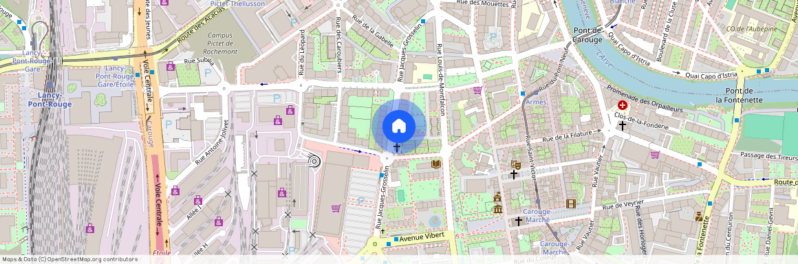 9, rue Jacques- Grosselin, 1227 Carouge