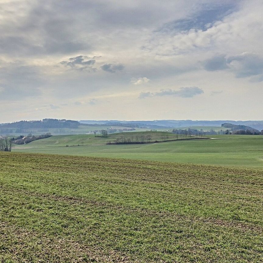 Superbe logement de 3,5 pièces dans un immeuble Minergie moderne - Photo 1