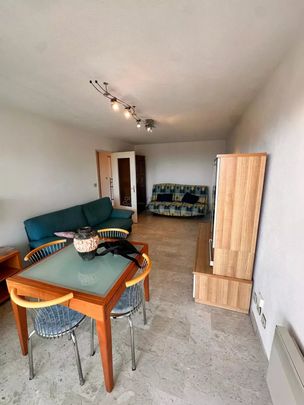 Location Appartement 2 pièces 49m² ANTIBES 06600 - Photo 1