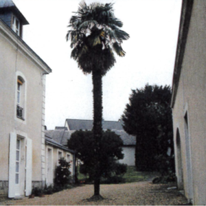 Location Appartement 2 pièces 43m² SABLE SUR SARTHE 72300 - Photo 2