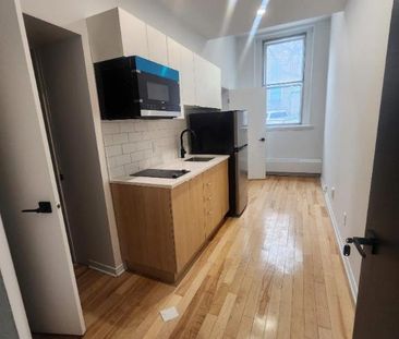 1 CH - 1 SDB - Montréal - $1,245 /mo - Photo 1