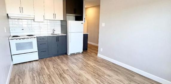 1 CH - 1 SDB - Montréal - $1,300 /mo - Photo 2