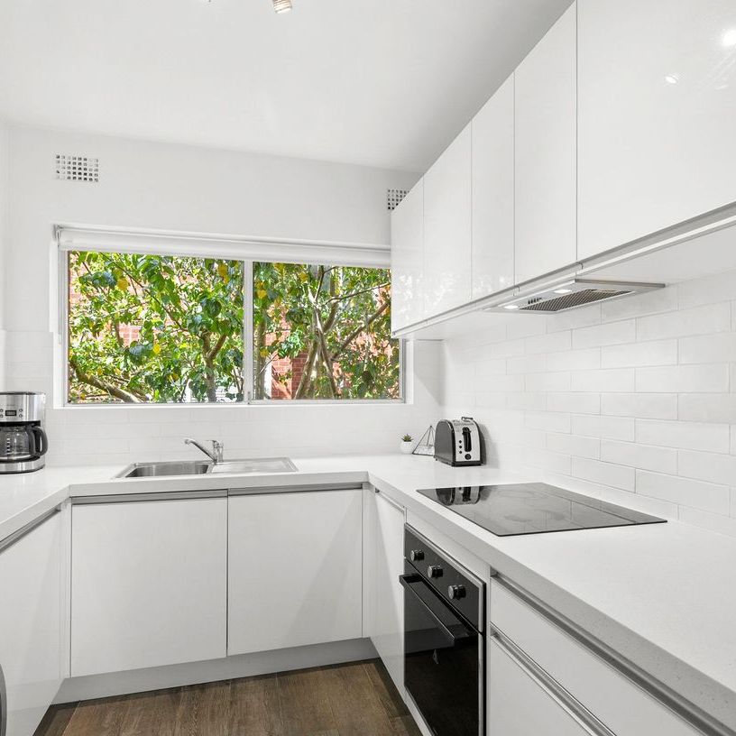 2/16 White Street, Balgowlah, NSW 2093 - Photo 1