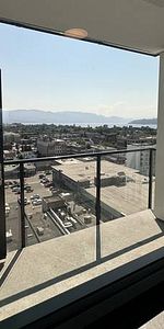 Brand new 2 bed/2bath at the Bertram + A/C + Lake Views - Photo 4