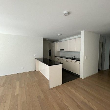 Ihr neues Zuhause im Neumattpark - perfekte Familienwohnung - Photo 1