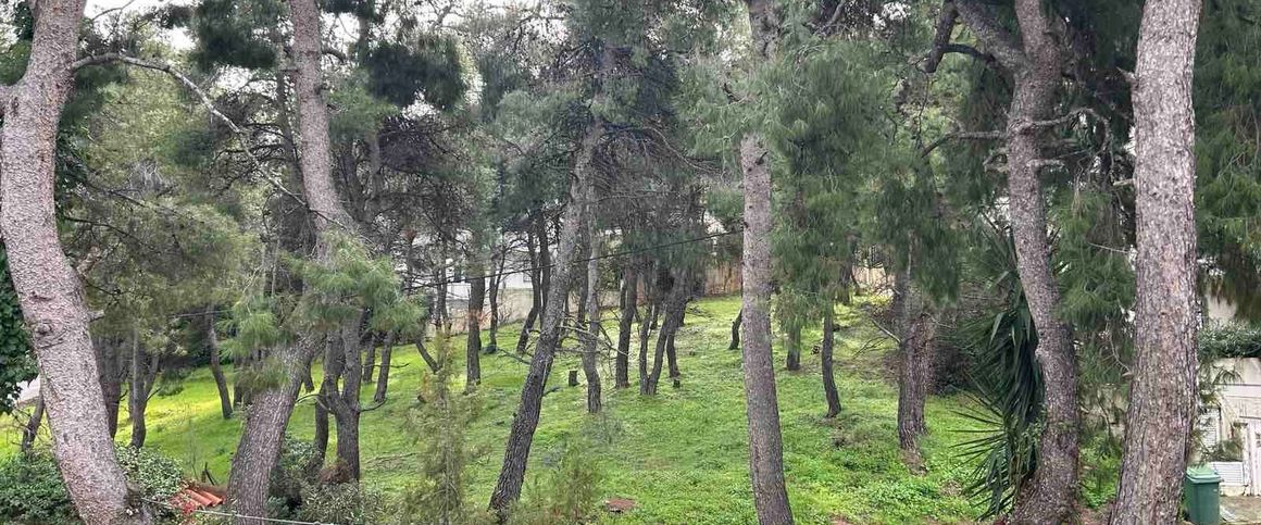 Ενοικίαση κατοικίας, 167 τ.μ., Ροδόπολη, 1.300 € - Photo 1