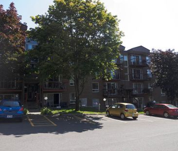 4 1/2 Charlesbourg - Henri-Bourassa - Place Gilbert- juillet - Photo 4