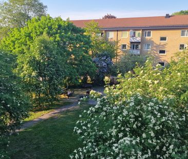 Gulddragargränd, Vällingby - Foto 2