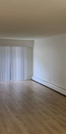 Large 1 bedroom, 1 bath apartment - Photo 1