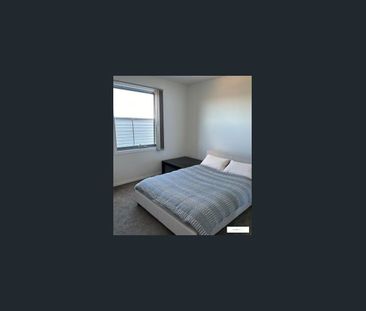 Three Bedroom Apartment with City Views! - Photo 3