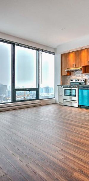 1 chambre - 1380 René-Lévesque Ouest, Montréal - Photo 1