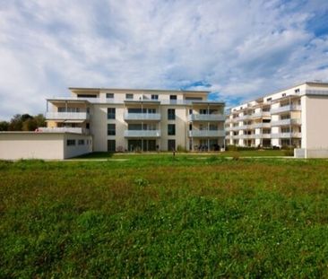 Here, you’re on the sunny side of life - Photo 1