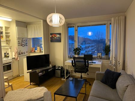 Långgatan 18 - Photo 3