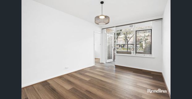 RENOVATED GROUND LEVEL APARTMENT IN PERFECT LOCATION - Photo 1