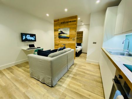 Studio Flat, Clapham Park Road, SW4 - Photo 2