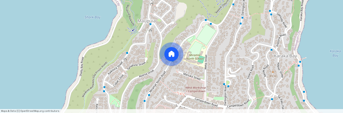 103 Miramar North Road, Wellington