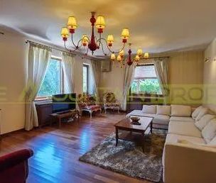 Vila 5 camere, inchiriere lunga durata, Iancu Nicolae - Fotografie 5