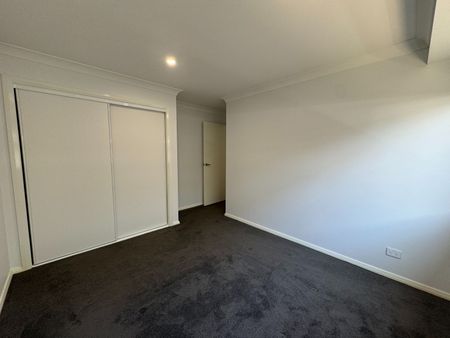 Just in time for Christmas! - Photo 5