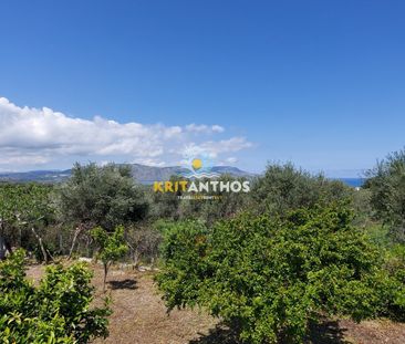 Μονοκατοικία Καβρός - Αποκόρωνας, Γεωργιούπολη - Φωτογραφία 3