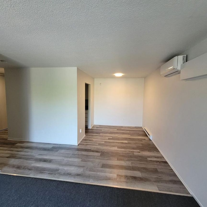 31 Rue Des Flandres (Gatineau) Magnifique 4 1/2 à Louer ! - Photo 1