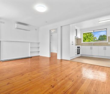 Quiet Court Location! - Photo 2