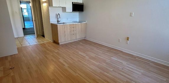 Studio - Saint-Charles-Borromée - $1,049 /mo - Photo 2