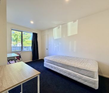 88 Creyke Road, Ilam - Photo 3