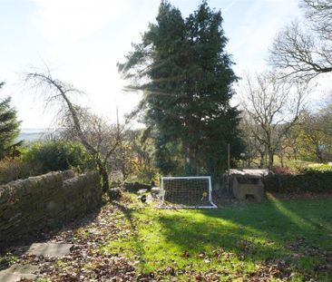 2 bedroom character property to rent - Photo 6