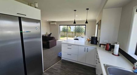 MODERN FAMILY HOME IN WAITARA - Photo 4