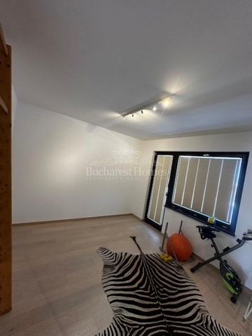 Sunny Penthouse in the Heart of Icoanei - Photo 4