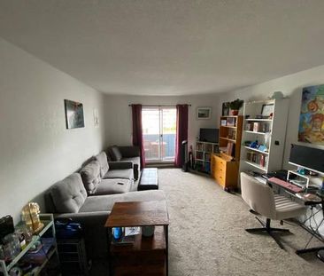 Must see, updated, bright, 3rd floor 1 bed with balcony - Jan 1 - Photo 1