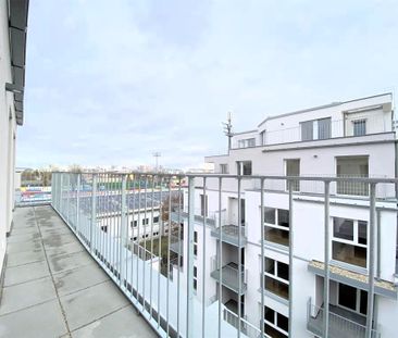 16m² Terrassenfläche!!! DG-Neubauwohnung in der Koloniestraße!!! - Photo 5