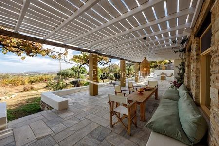 Μονοκατοικία για ενοικίαση Πρωτόργια (Πάρος) - Φωτογραφία 4