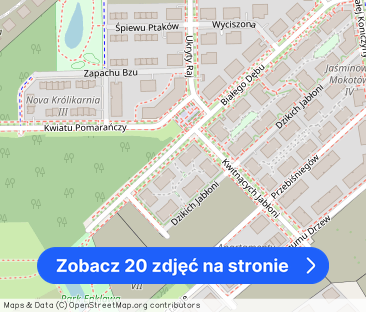 Jaśminowy Mokotów, duży taras, 5 pokoi - Zdjęcie 1