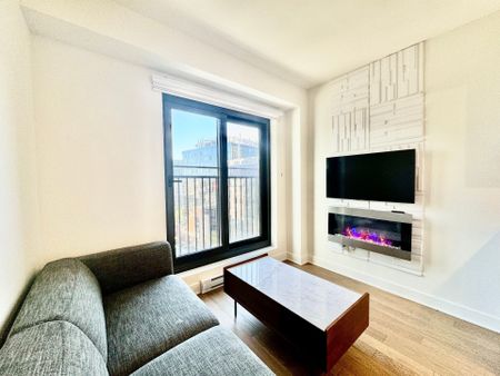 Appartement à louer, Montréal (Ville-Marie) - Photo 2