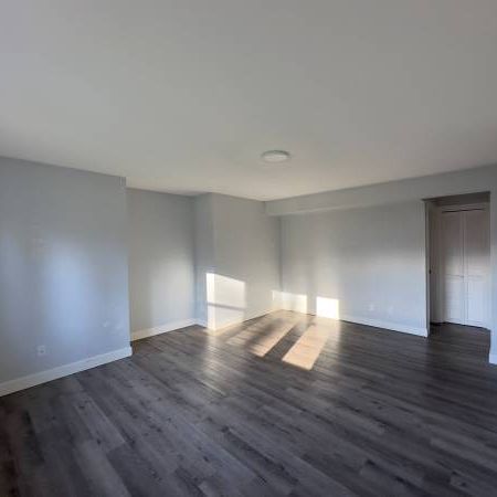 2 Bed 1 Bath Ground Floor Suite For Rent - Photo 3