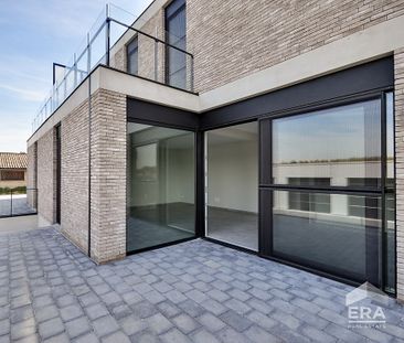 Nieuw gelijkvloers appartement te Holsbeek met 3 slaapkamers - Photo 4