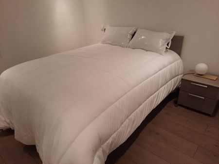 Location appartement 2 pièces, 40.00m², Castelginest - Photo 2