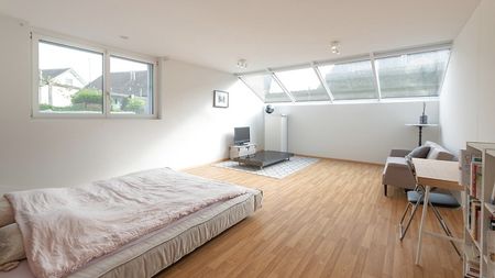 4½ Zimmer-Wohnung in Anglikon (AG), möbliert, auf Zeit - Photo 3