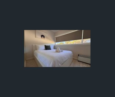 Coastal Beachfront 4 Bedroom Home - Photo 6