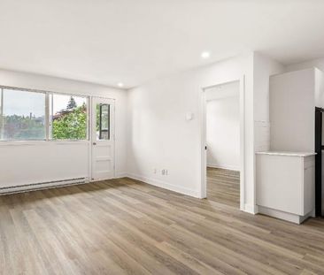 1 CH - 1 SDB - Montréal - $1,345 /mo - Photo 3