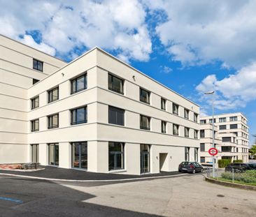 2.5 Zimmer, 50 m², 2. Stock - Foto 5