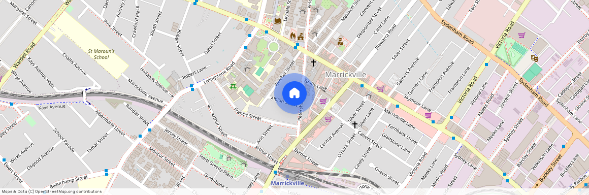 111 Petersham Road, NSW 2204, Marrickville