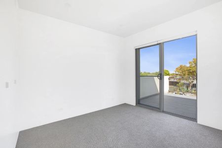 Another Successful Result By David Ibanez - Photo 4