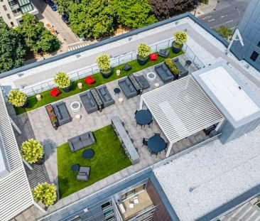 Appartement à louer - Montréal (Ville-Marie) (Centre) - Photo 5