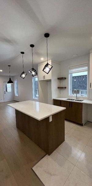 Neuf et luxueux 4 1/2 près de l’hôpital de st-hyacinthe - Photo 1